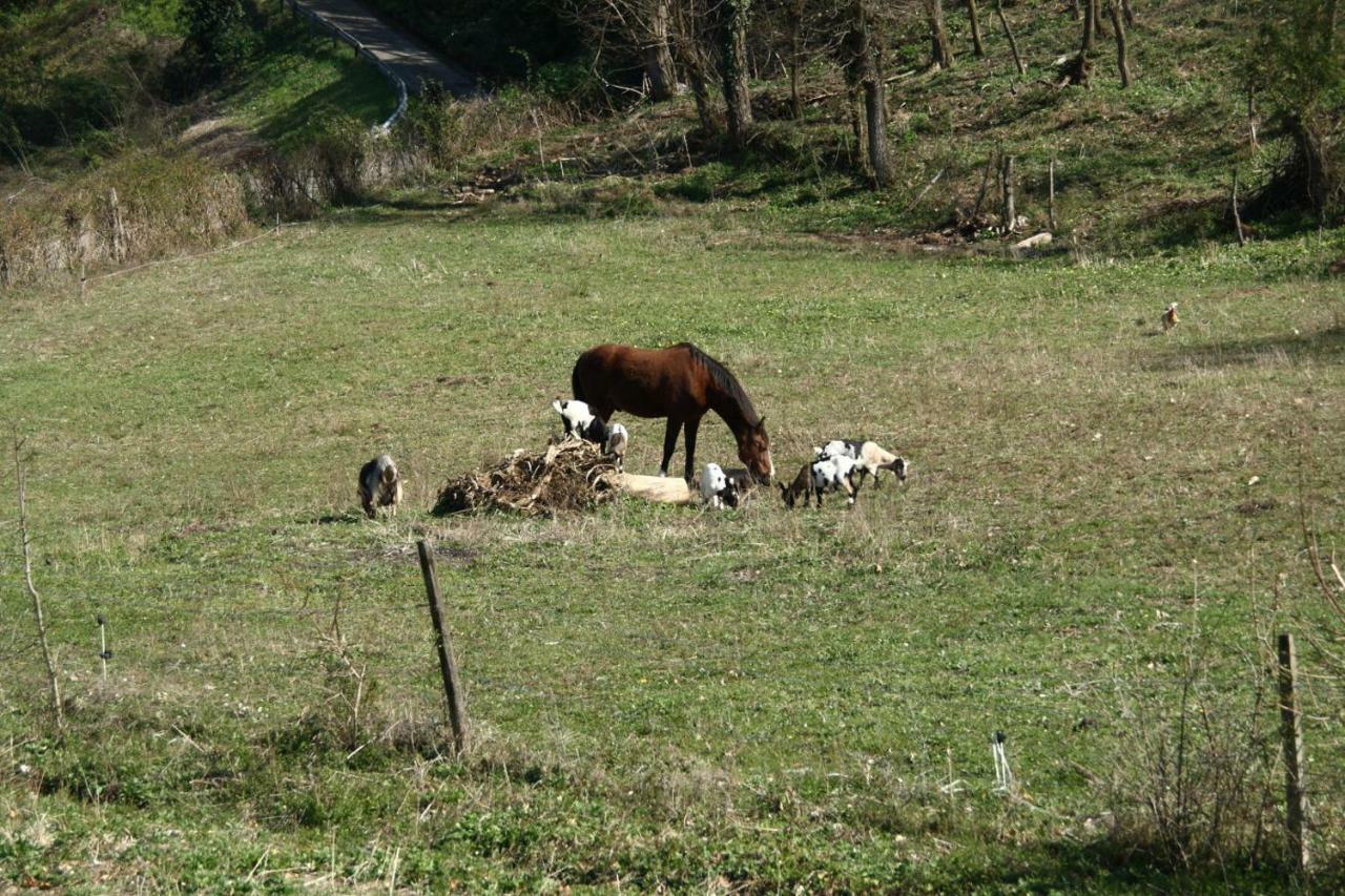 Agriturismo "La Fondazza" Vila Imola Exterior foto