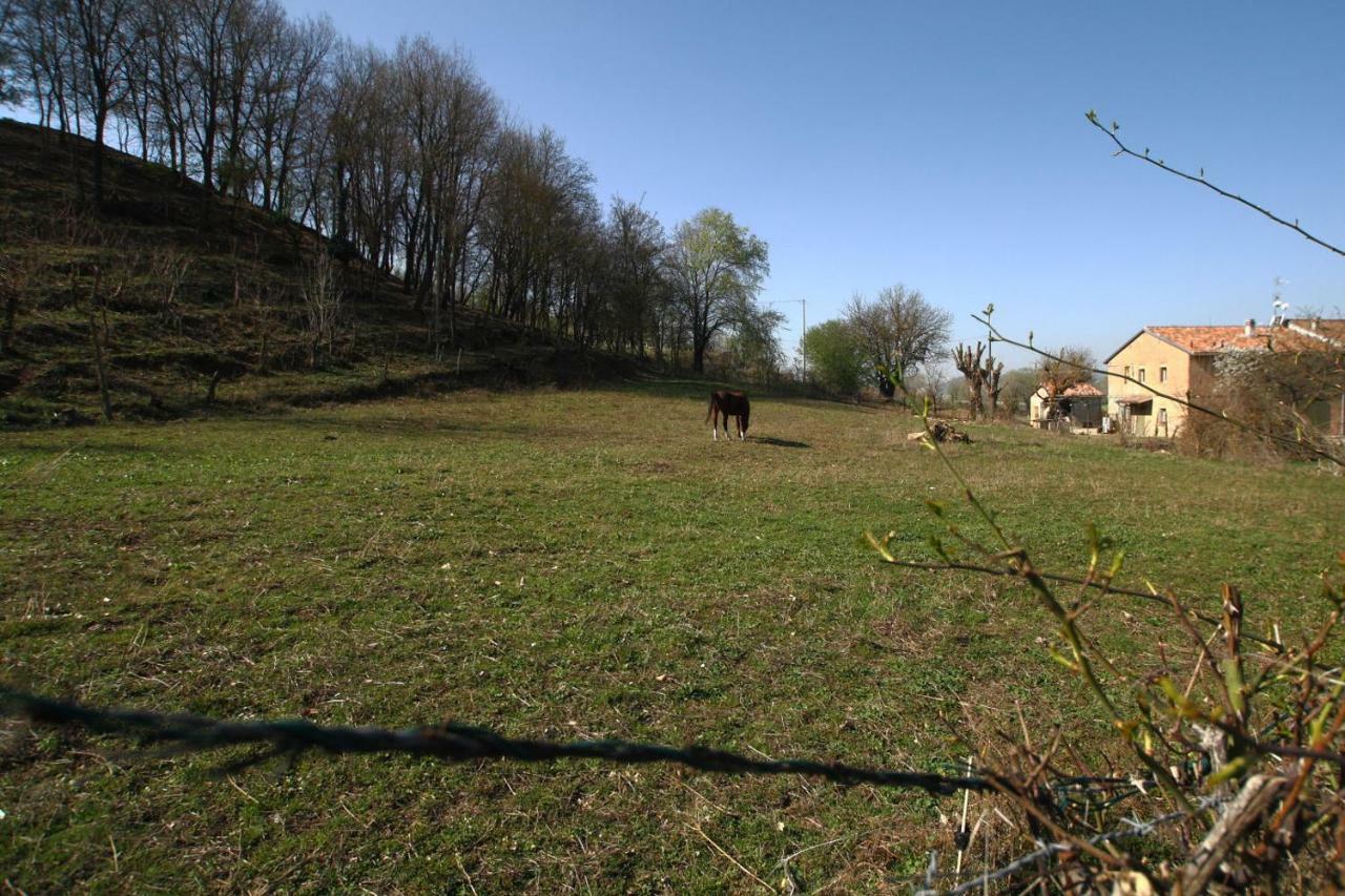 Agriturismo "La Fondazza" Vila Imola Exterior foto